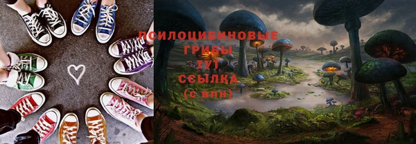 спиды Магадан