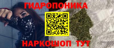 ECSTASY Гусь-Хрустальный