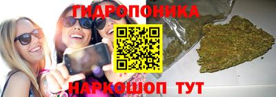 PSILOCYBIN Гусиноозёрск