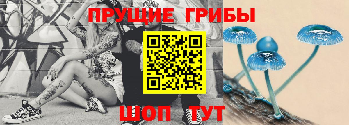 Псилоцибиновые грибы Psilocybine cubensis  Вход с VPN  Малоярославец 